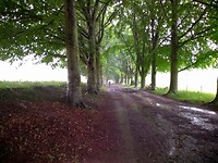 IMG_20210713_133131324