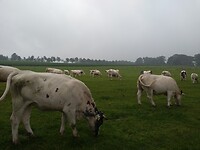 IMG_20210713_131521978