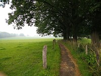 IMG_20210713_130752045