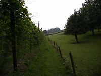 IMG_20210713_105125984