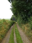 IMG_20210713_101857594