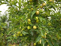 IMG_20210713_100735971