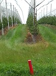 IMG_20210713_100445128