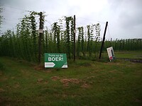 IMG_20210713_100048321