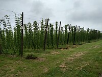 IMG_20210713_095949533_HDR