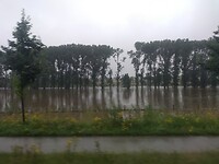 IMG_20210715_155228491
