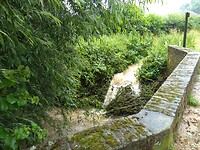 IMG_20210715_101732845