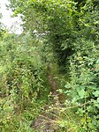 IMG_20210716_150829239