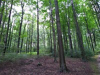 IMG_20210716_141244297