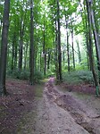 IMG_20210716_141236092