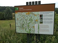 IMG_20210716_135056784