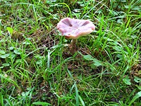 IMG_20210716_125701812
