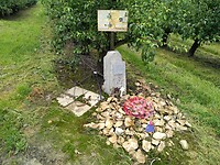 IMG_20210716_114246954
