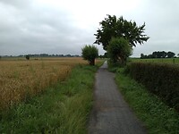 IMG_20210716_104234621