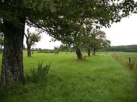 IMG_20210716_102906277