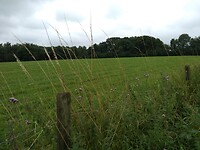 IMG_20210716_095133649