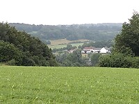 IMG_20210716_094831287