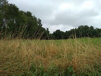IMG_20210716_094145064