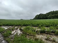 IMG_20210716_093513103_HDR