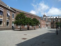 Zitterd