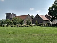 Zitterd