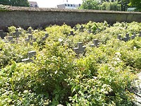 Zitterd