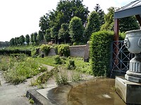 Zitterd