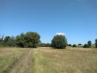 IMG_20210718_125606662_BURST001