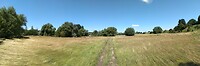 IMG_20210718_125538394