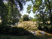 IMG_20210718_125249452_HDR