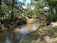 IMG_20210718_125204190_HDR