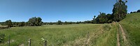 IMG_20210718_123713154