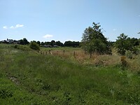 IMG_20210718_123702876
