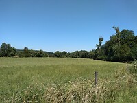 IMG_20210718_123657751