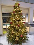 FB_IMG_1638389173364