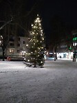 Kerstsfeer. Overal kerstbomen