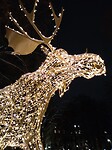 Kerstsfeer rendier