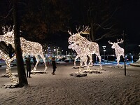 Kerstsfeer
