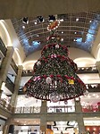 IMG_20211203_135418887