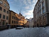 IMG_20211203_132101542_HDR