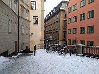IMG_20211203_132031690