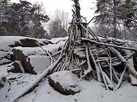 IMG_20211203_101525429