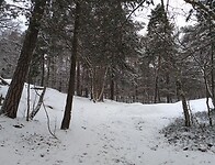 IMG_20211203_101302526