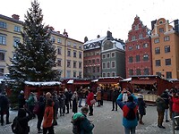IMG_20211203_125608873_HDR
