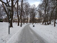 IMG_20211204_111304970