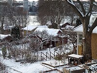 IMG_20211204_105543384