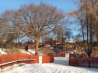 IMG_20211204_103658823