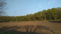 IMG_20220423_081936870