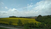IMG_20220424_150514609