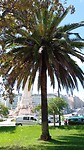 IMG_20220921_130112_994